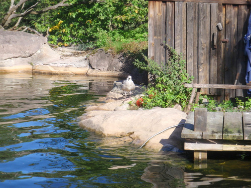 Skansen Open Air Museet, Stockholm.